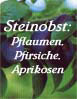 Steinobst 2